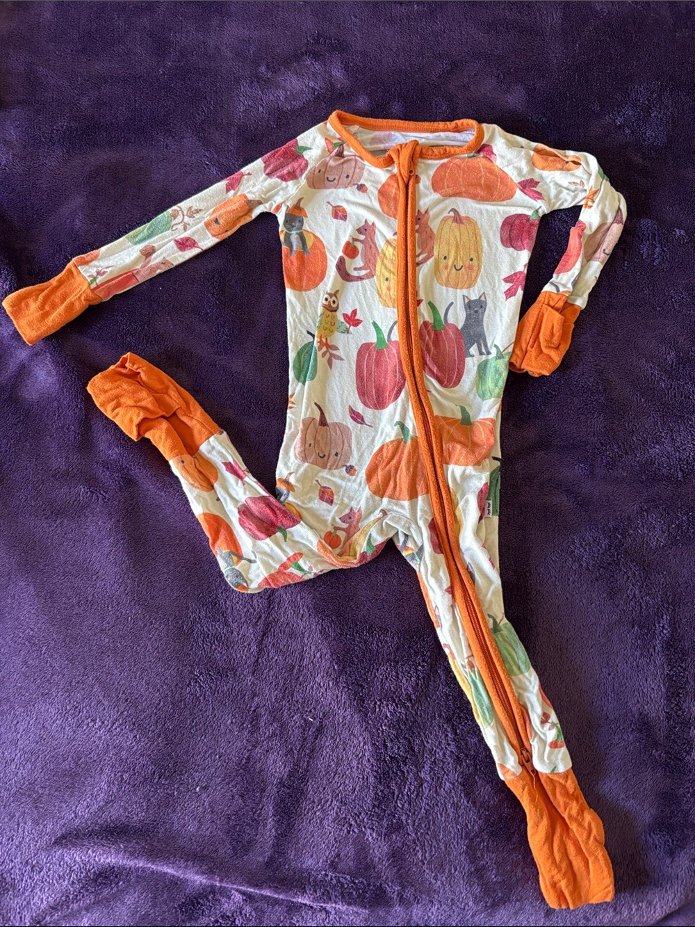 Little Sleepies Pumpkin Pals Zippy
